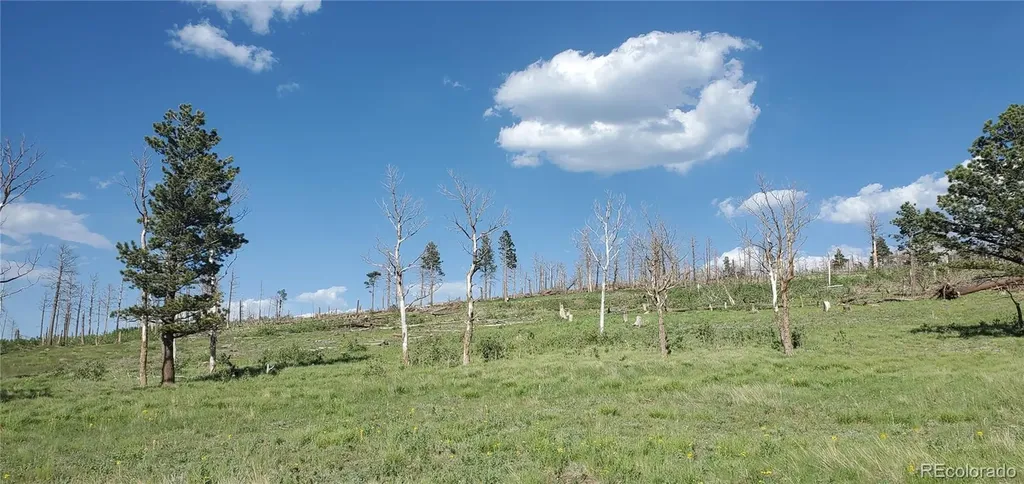 Lot 2120 Sigler Drive Fort Garland CO 81133