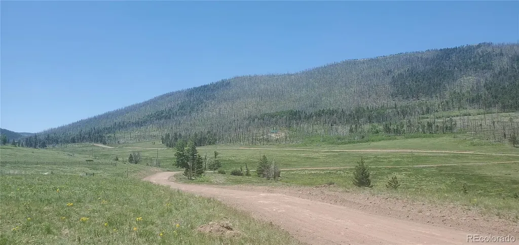 Lot 2120 Sigler Drive Fort Garland CO 81133