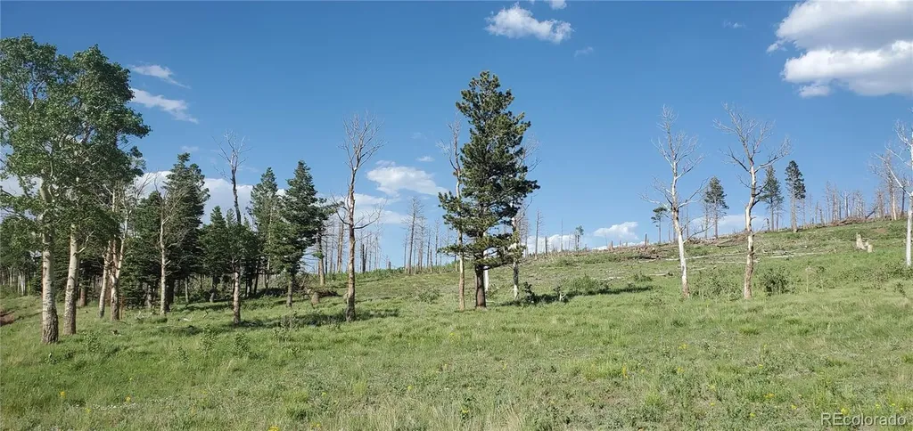 Lot 2120 Sigler Drive Fort Garland CO 81133