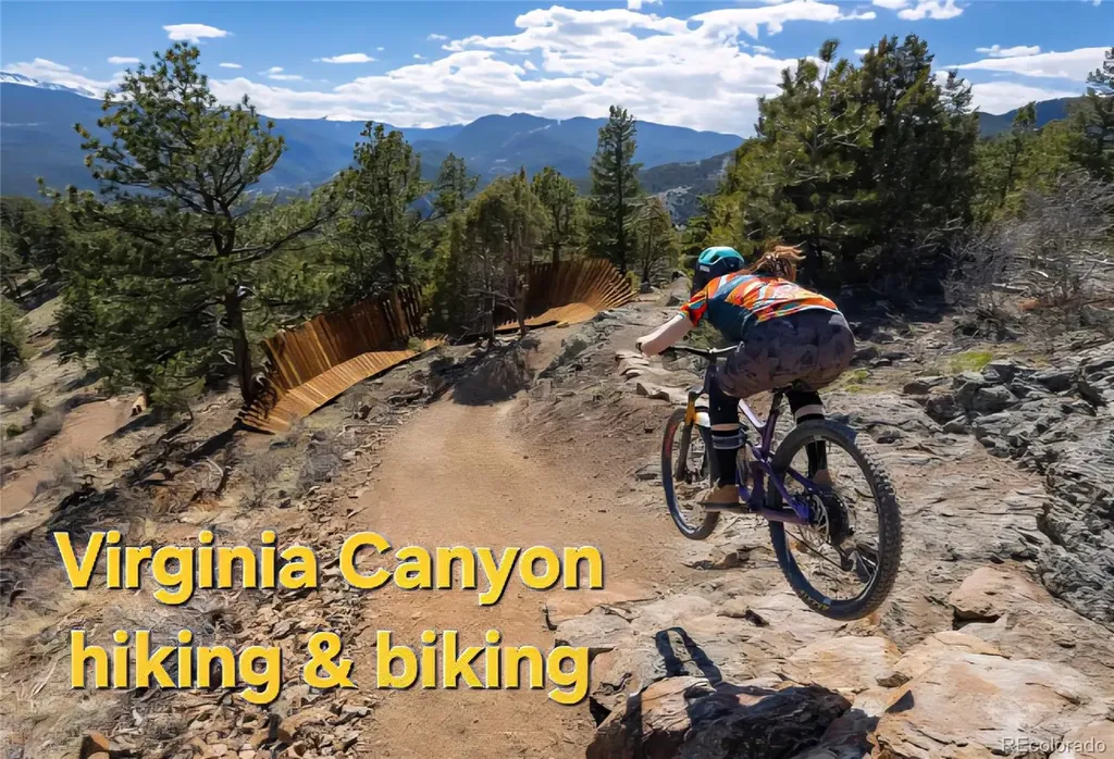 346 Colorado Boulevard Idaho Springs CO 80452