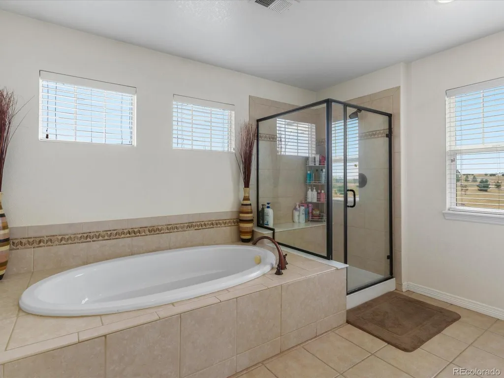 3315 Paintbrush Lane Parker CO 80138