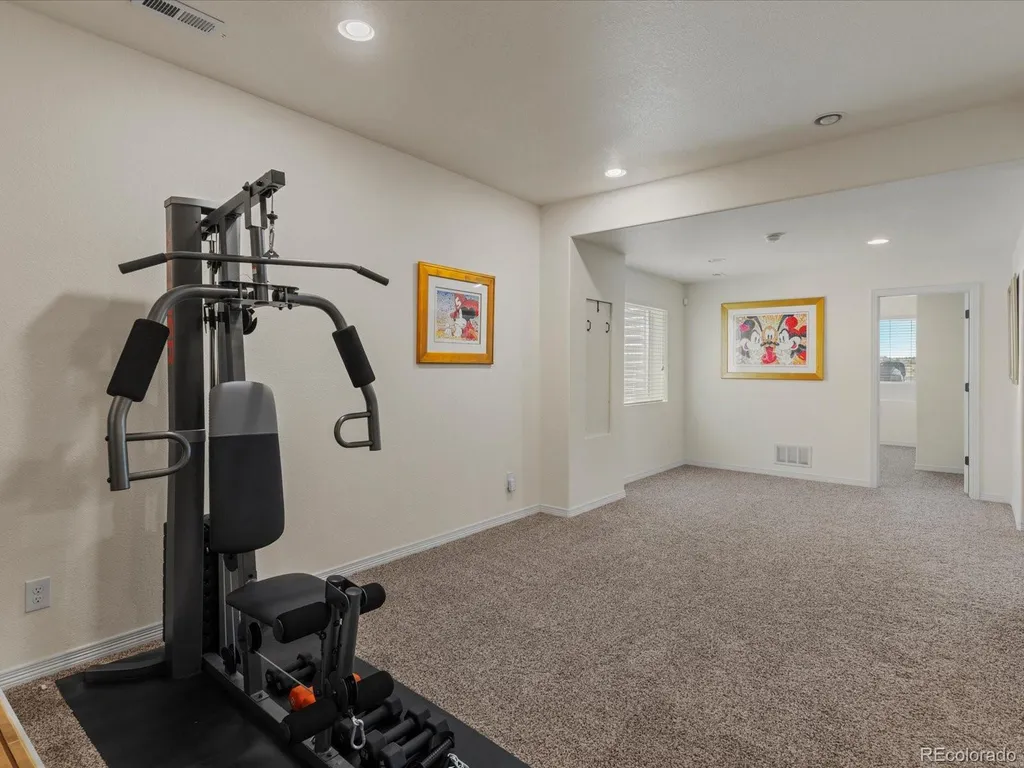 3315 Paintbrush Lane Parker CO 80138