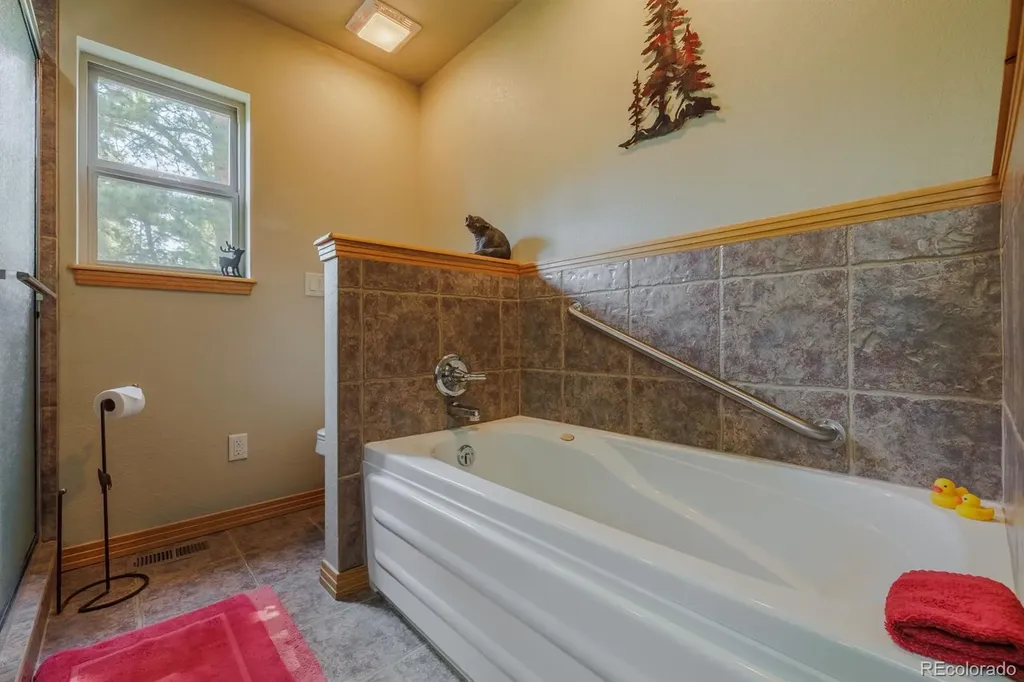 392 Aspen Village Road Divide CO 80814