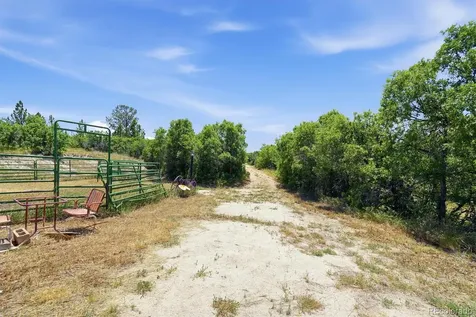 698 Peak View Drive Castle Rock CO 80109