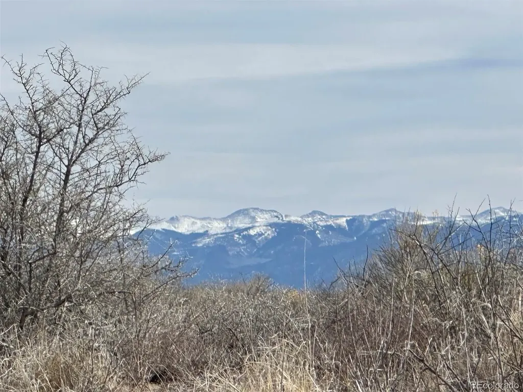 00 Deer Run Boulevard Alamosa CO 81101