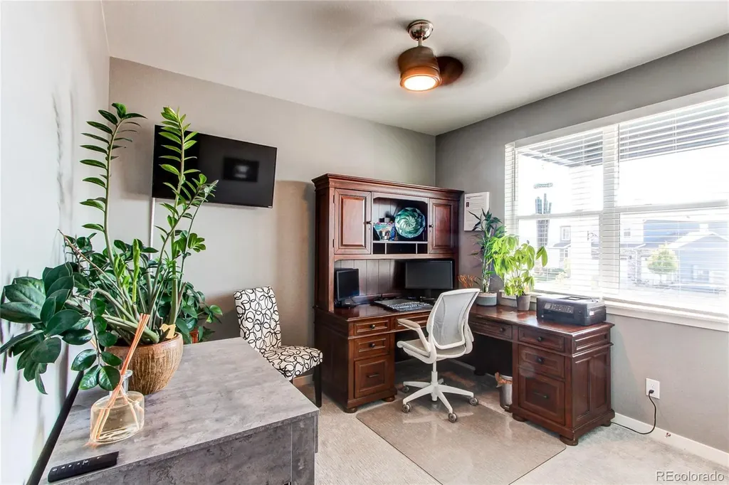 2227 Rosette Lane Castle Rock CO 80104