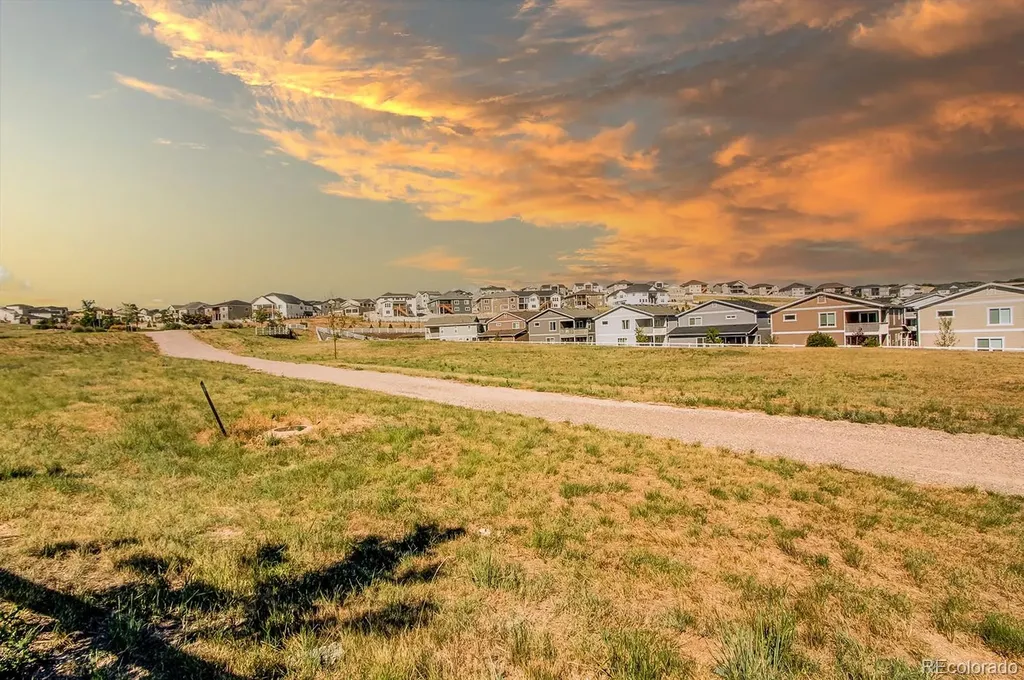 2227 Rosette Lane Castle Rock CO 80104