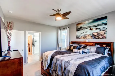 2227 Rosette Lane Castle Rock CO 80104