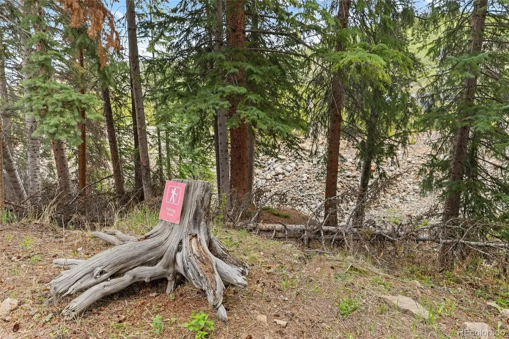861 High Point Drive Breckenridge CO 80424
