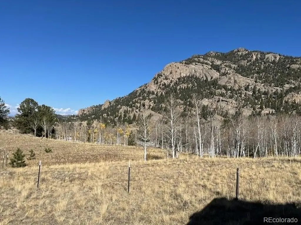 206 Emerald Way Lake George CO 80827