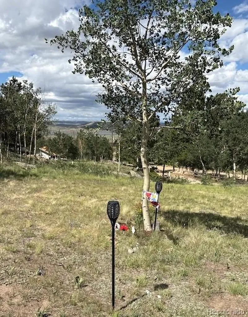206 Emerald Way Lake George CO 80827
