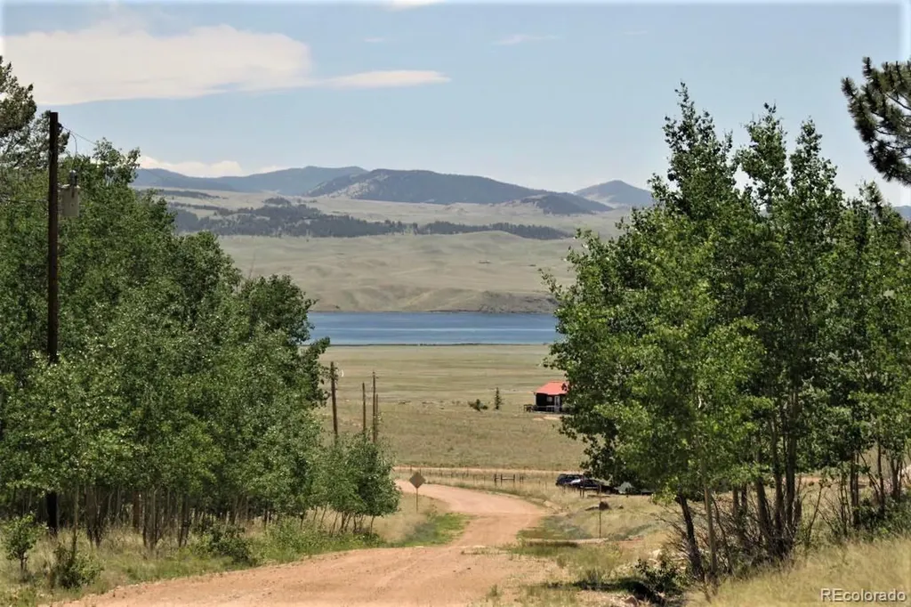 206 Emerald Way Lake George CO 80827