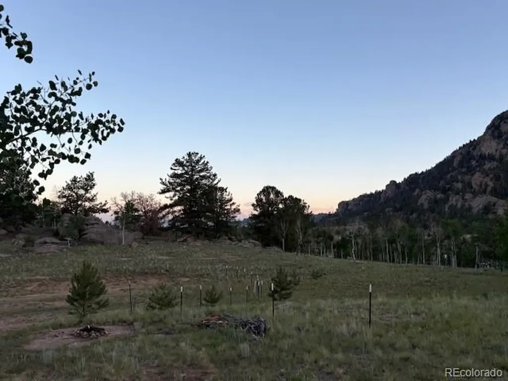 206 Emerald Way Lake George CO 80827