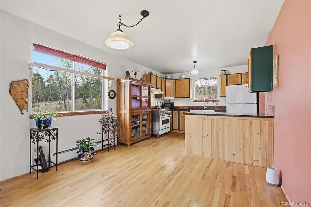 398 Aspen Drive Bailey CO 80421
