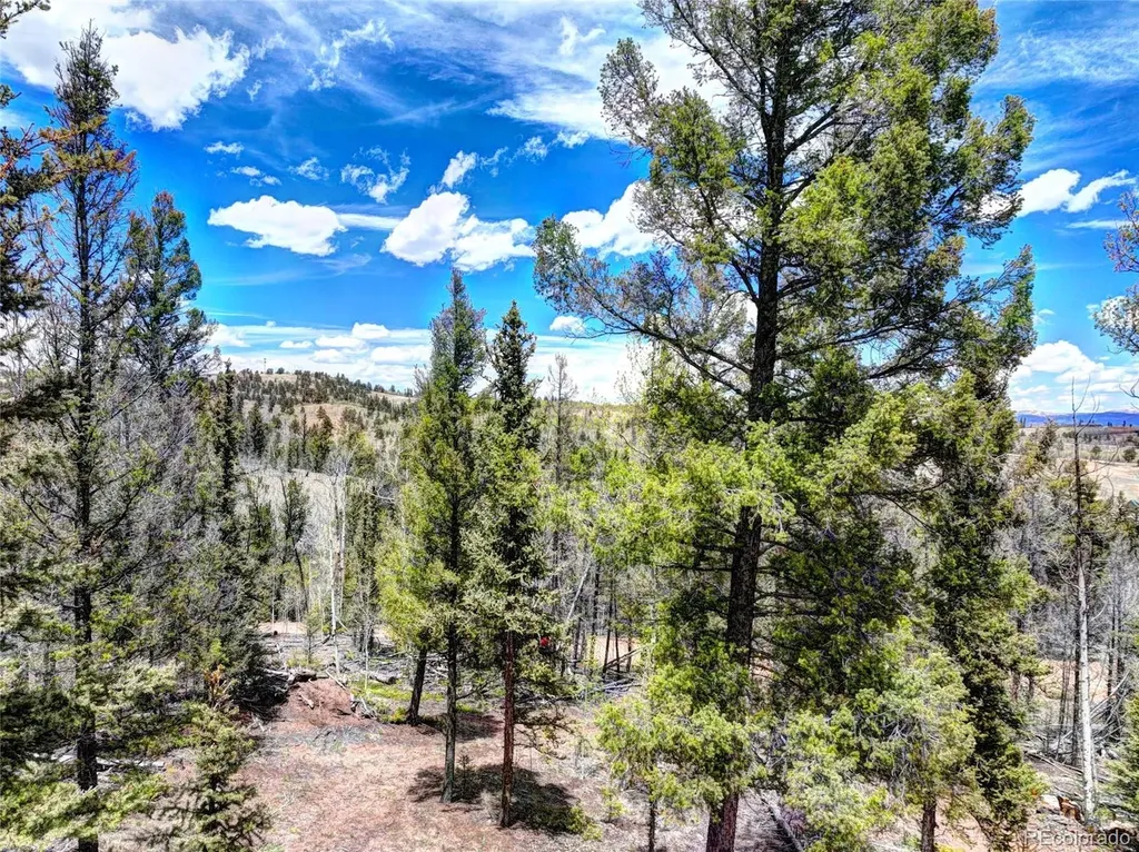 258 Old Squaw Road Como CO 80432