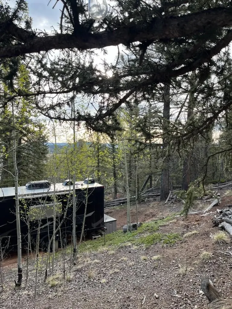258 Old Squaw Road Como CO 80432