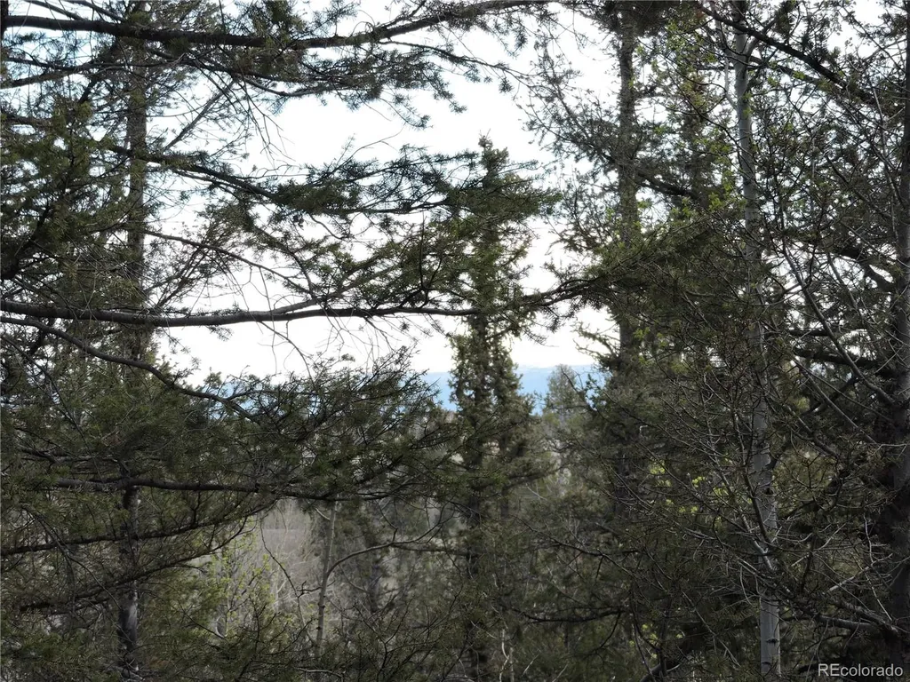 258 Old Squaw Road Como CO 80432