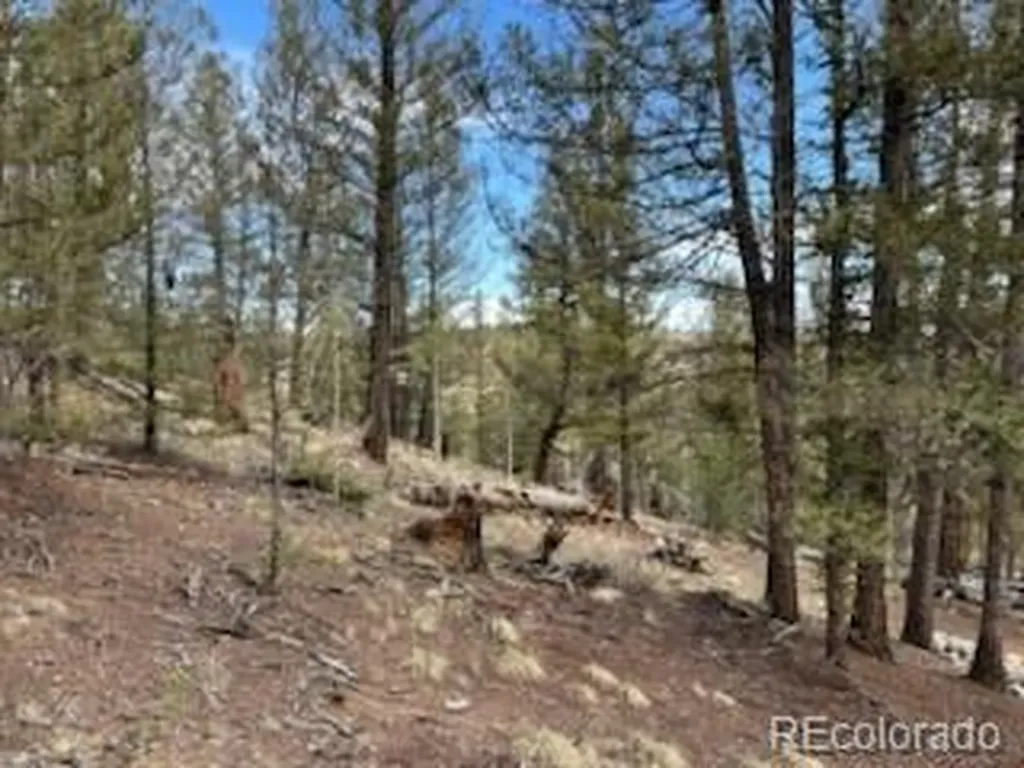 258 Old Squaw Road Como CO 80432