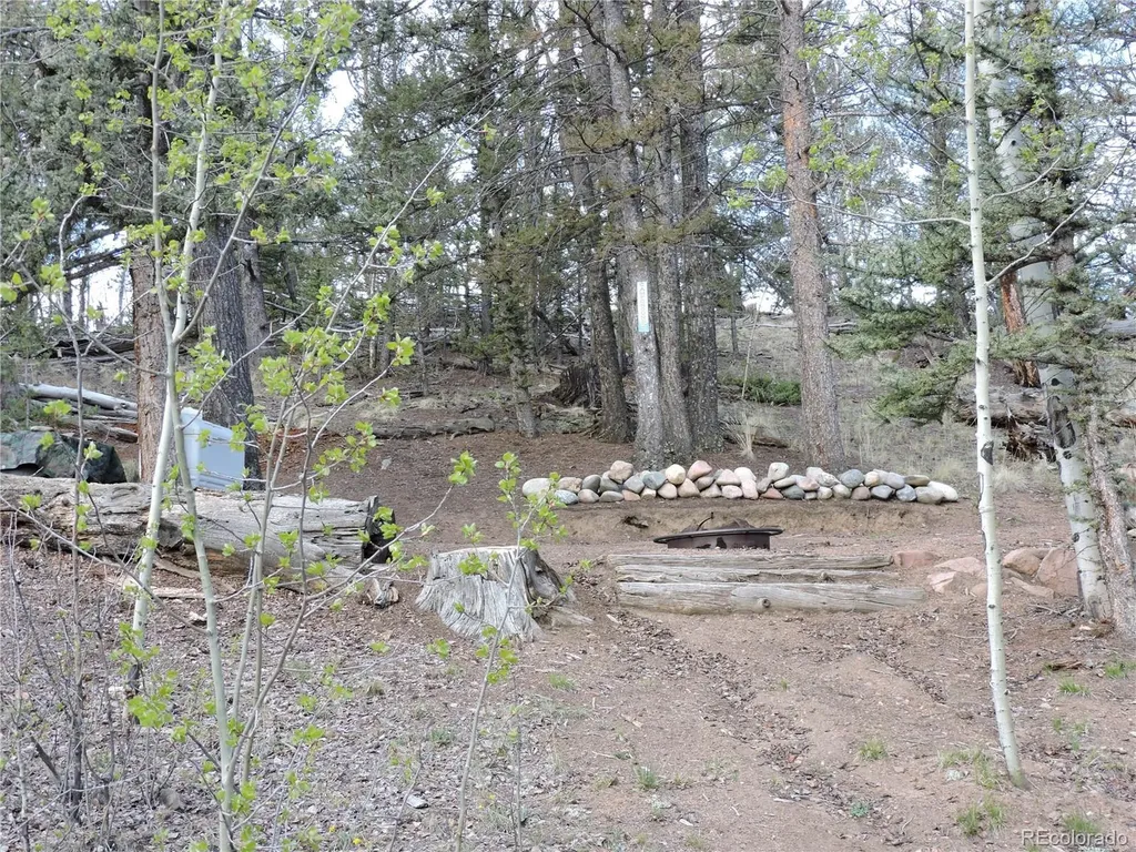 258 Old Squaw Road Como CO 80432
