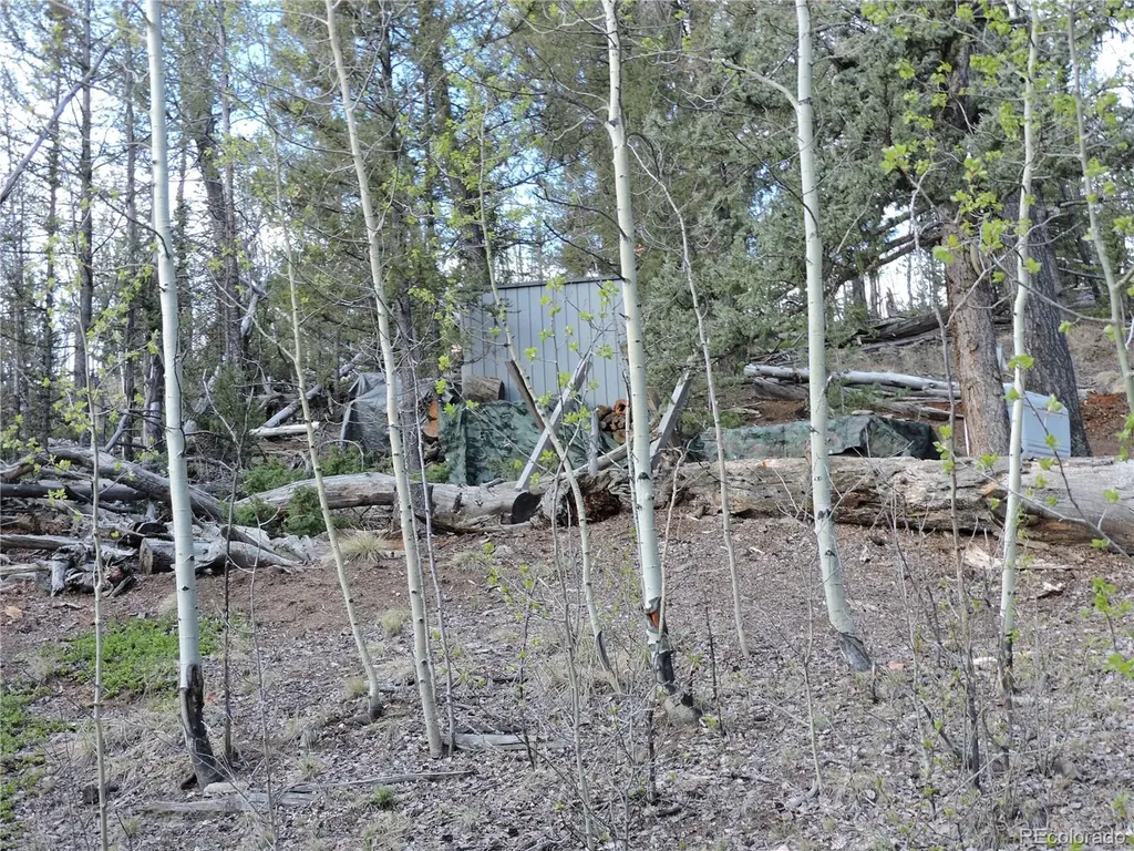 258 Old Squaw Road Como CO 80432