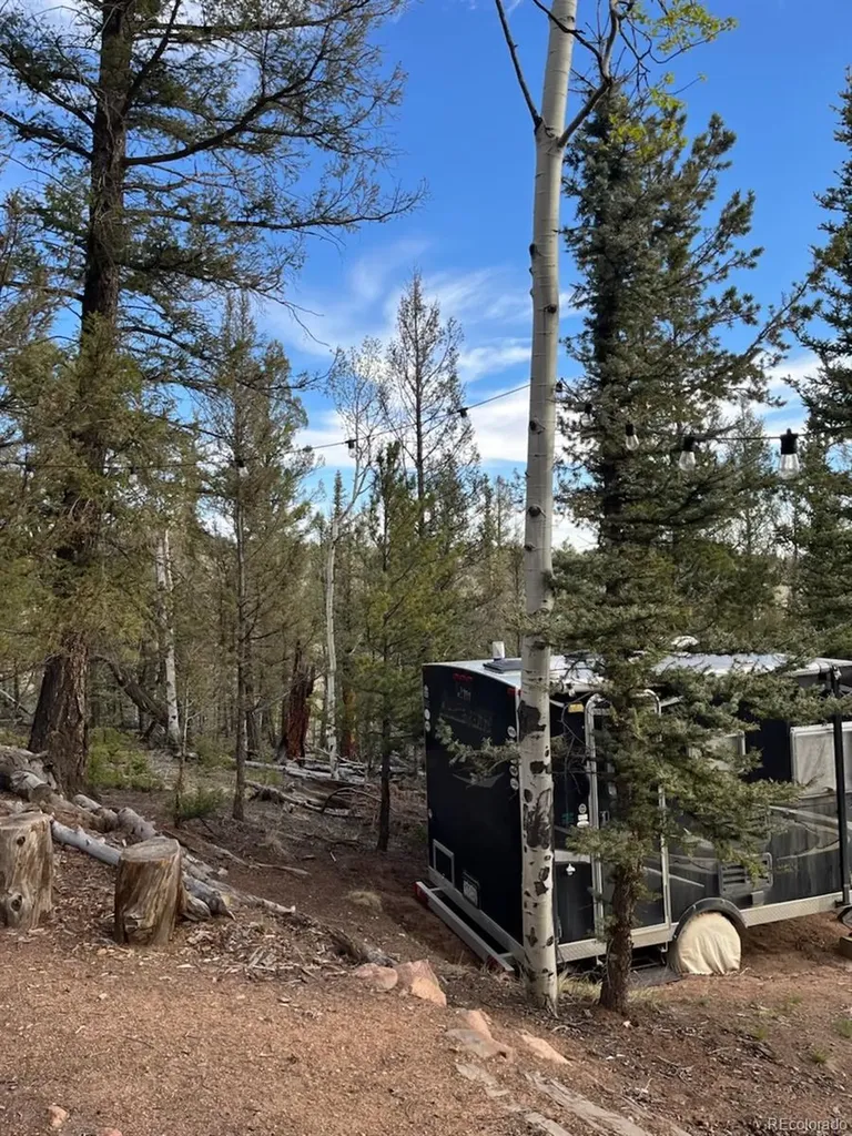 258 Old Squaw Road Como CO 80432