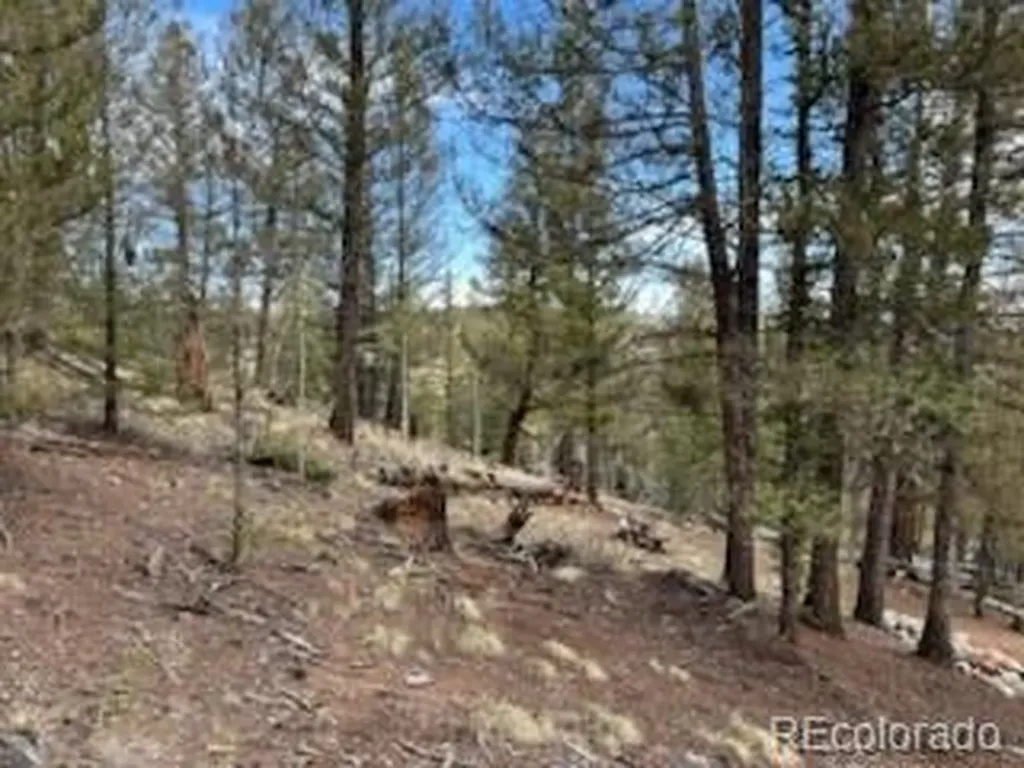 258 Old Squaw Road Como CO 80432
