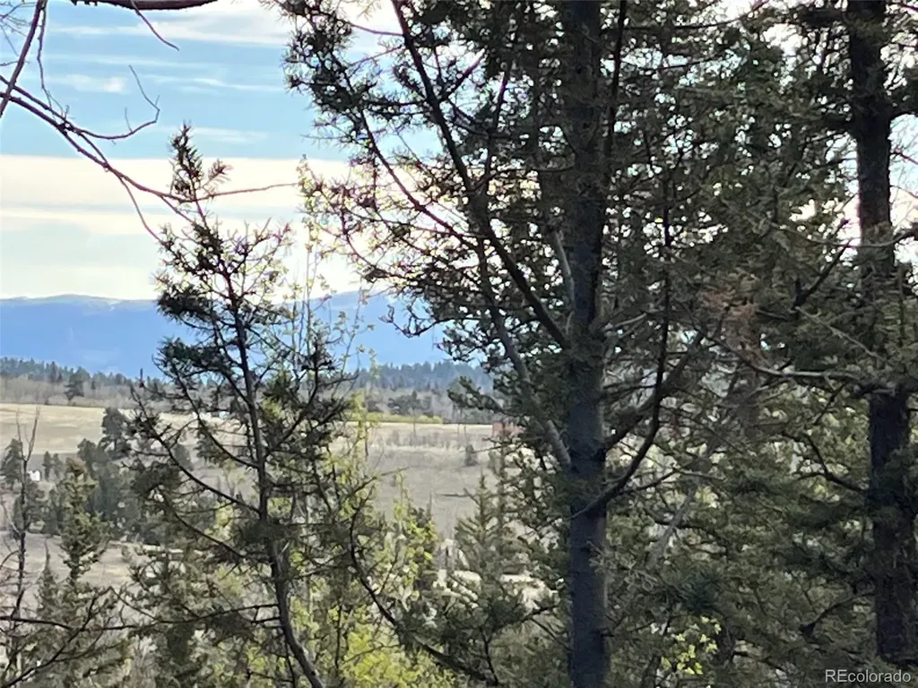 258 Old Squaw Road Como CO 80432