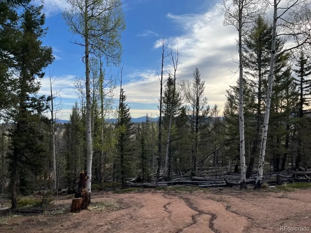 258 Old Squaw Road Como CO 80432