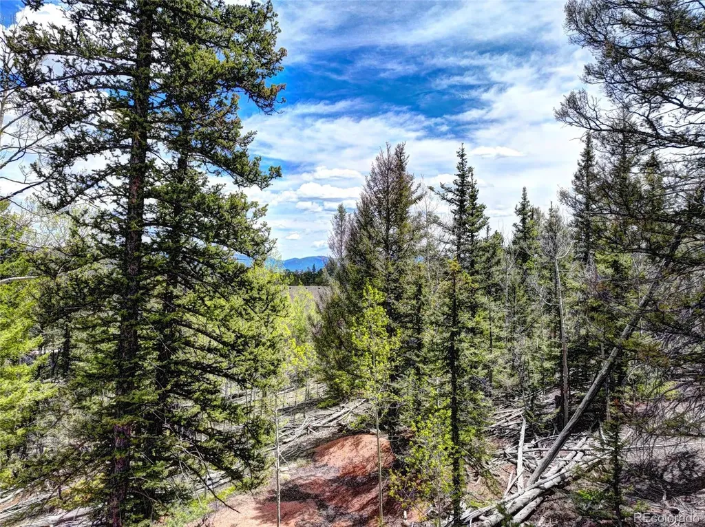 258 Old Squaw Road Como CO 80432
