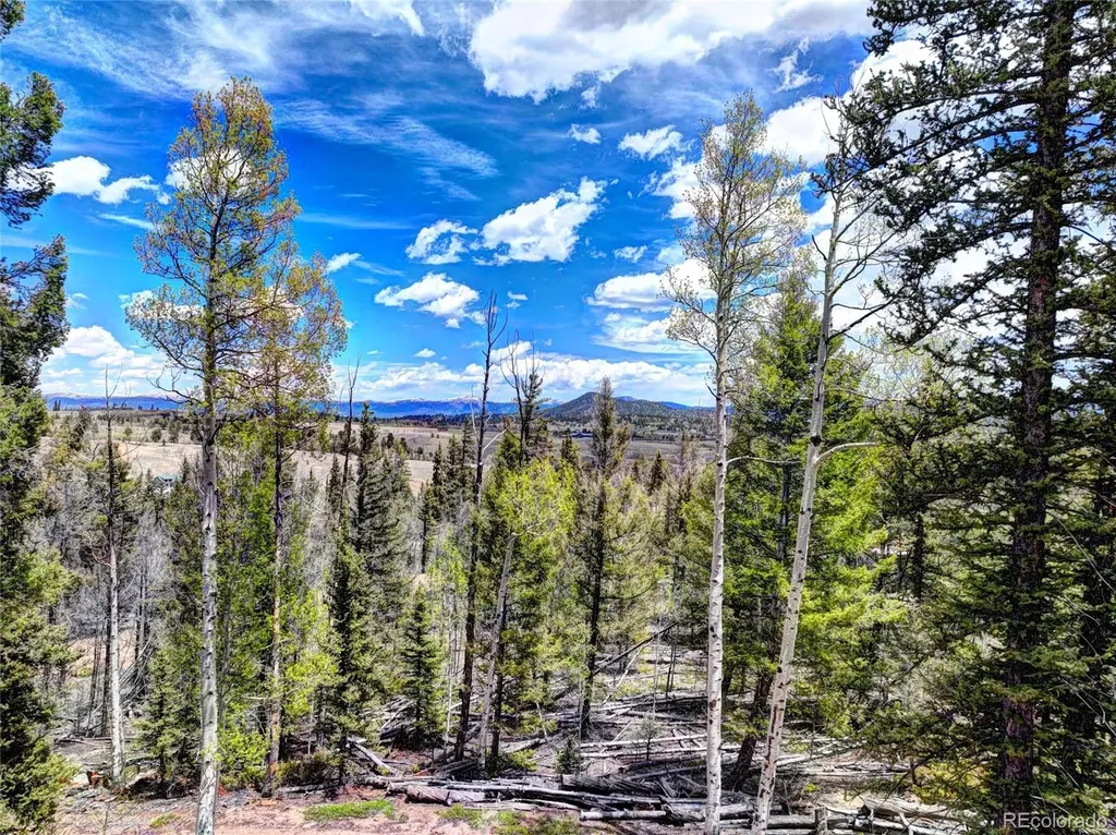 258 Old Squaw Road Como CO 80432