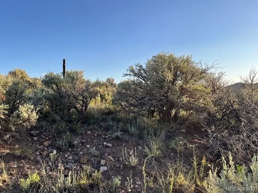 Lot 4763 Spencer Road Fort Garland CO 81133
