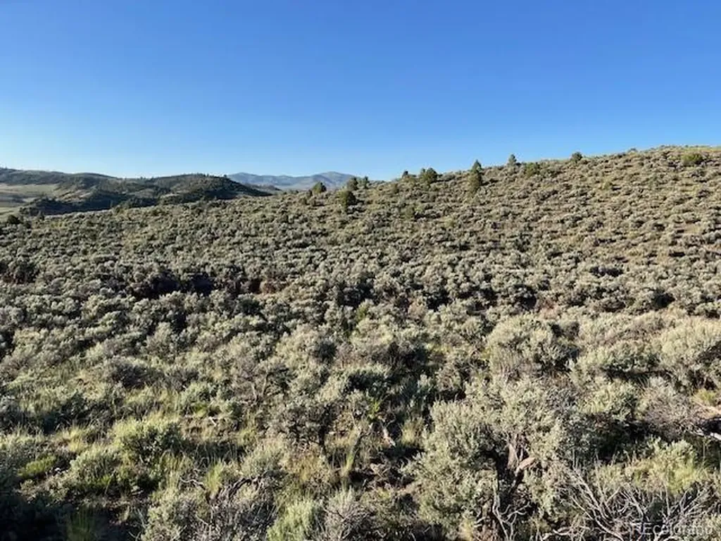 Lot 4763 Spencer Road Fort Garland CO 81133