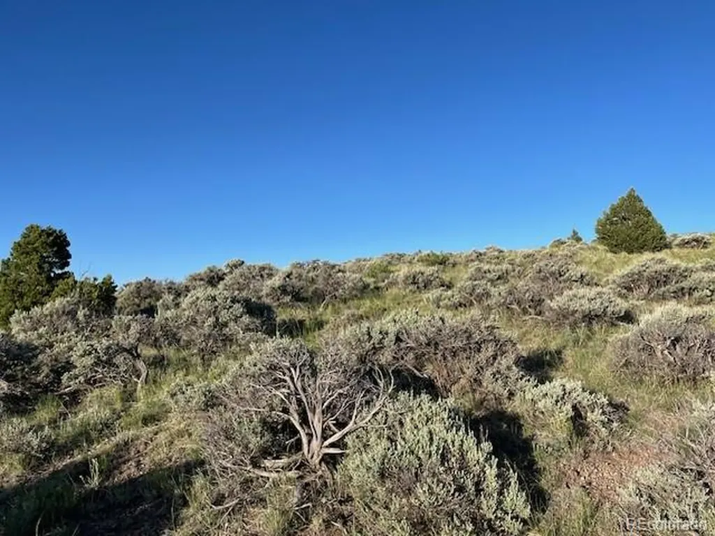 Lot 4763 Spencer Road Fort Garland CO 81133
