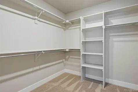 1556 Stablecross Drive Castle Pines CO 80108