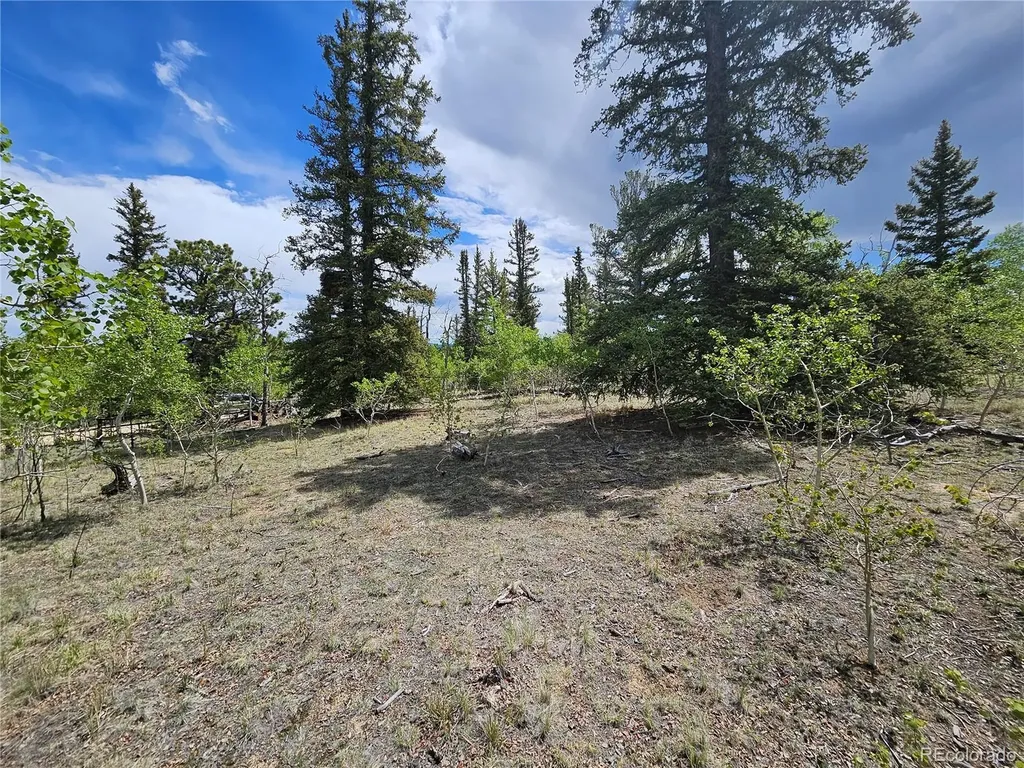 412 Smith And Wesson Road Como CO 80456
