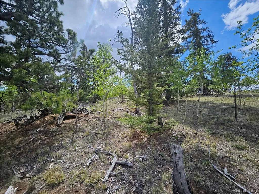 412 Smith And Wesson Road Como CO 80456
