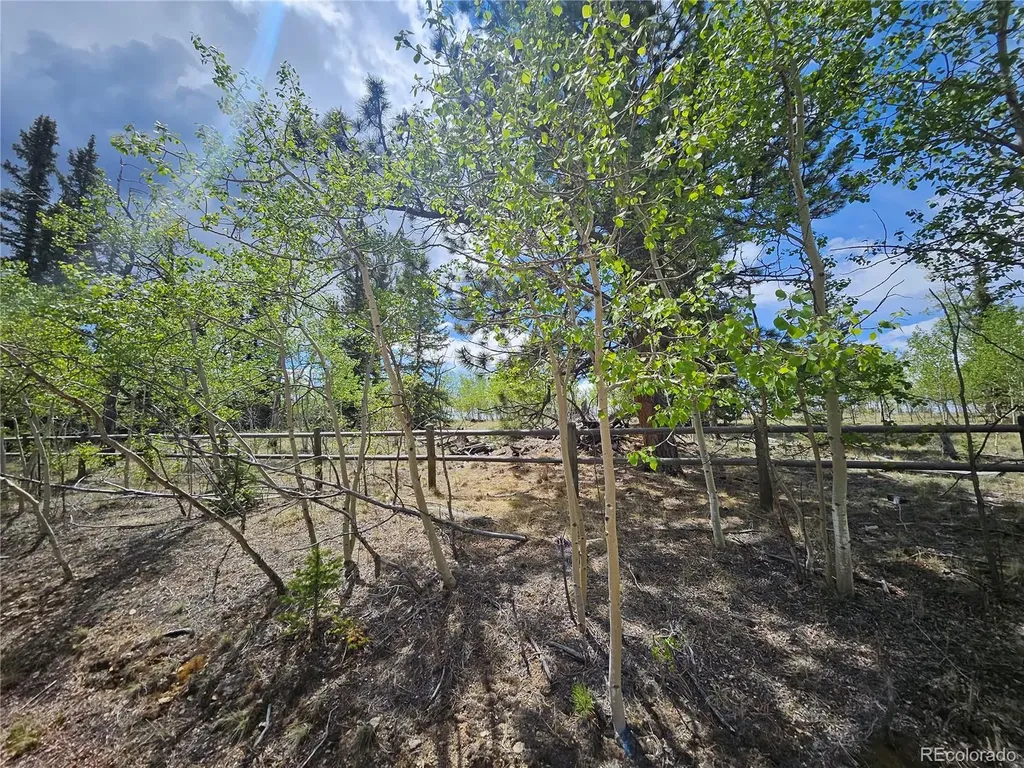 412 Smith And Wesson Road Como CO 80456
