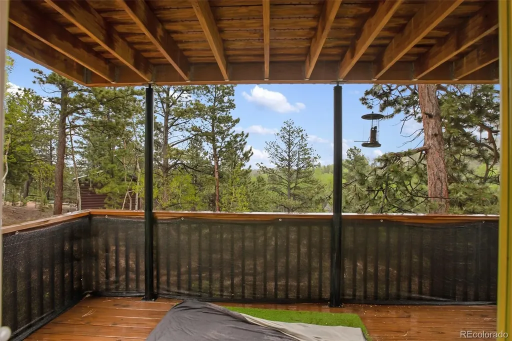80 Potlatch Trail Woodland Park CO 80863