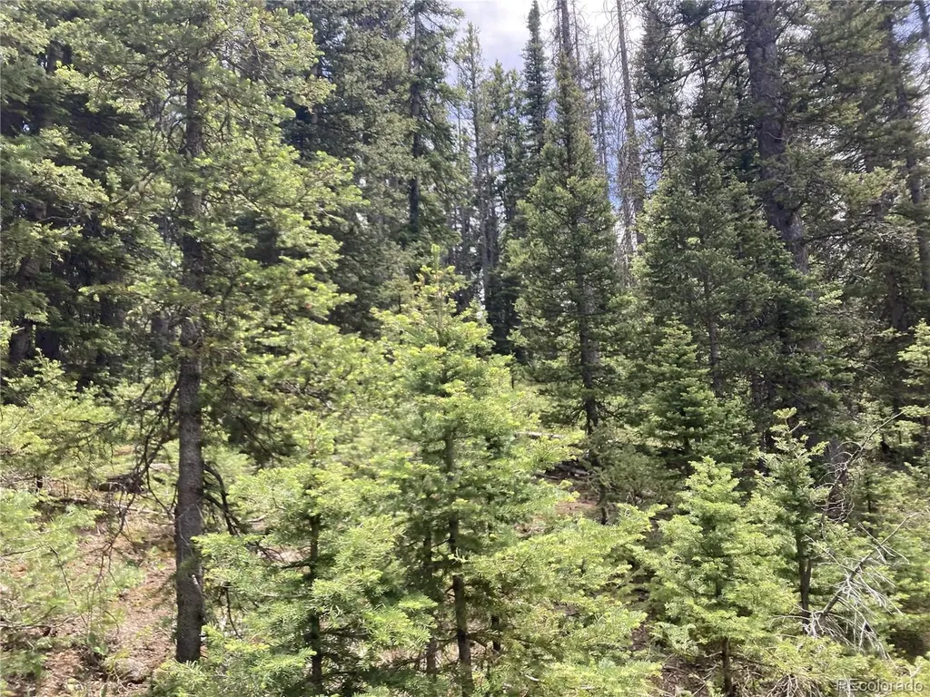 Lot 6614 Starkweather Road San Luis CO 81152