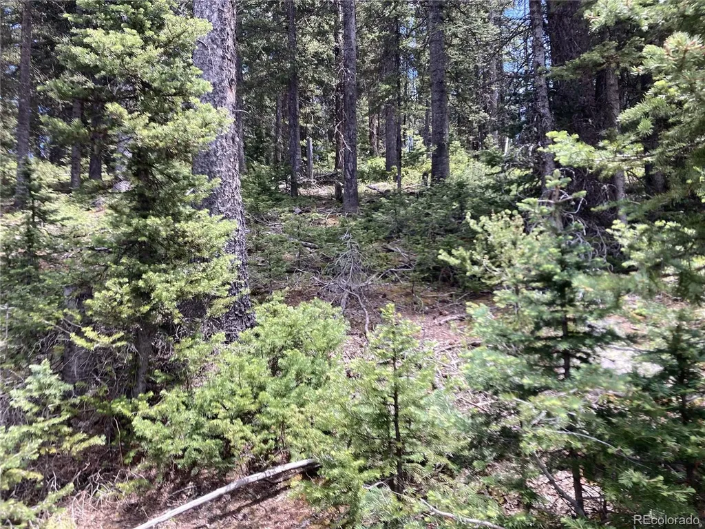 Lot 6614 Starkweather Road San Luis CO 81152