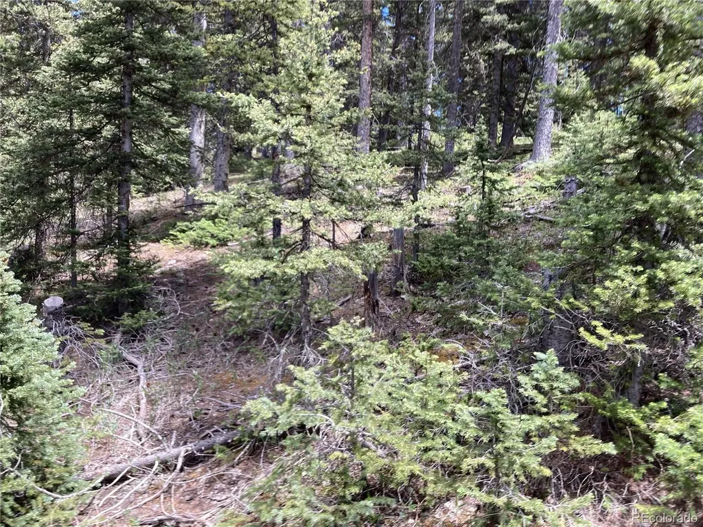 Lot 6614 Starkweather Road San Luis CO 81152