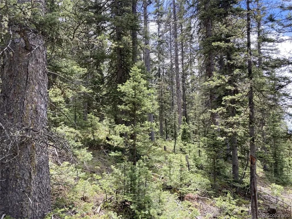 Lot 6614 Starkweather Road San Luis CO 81152