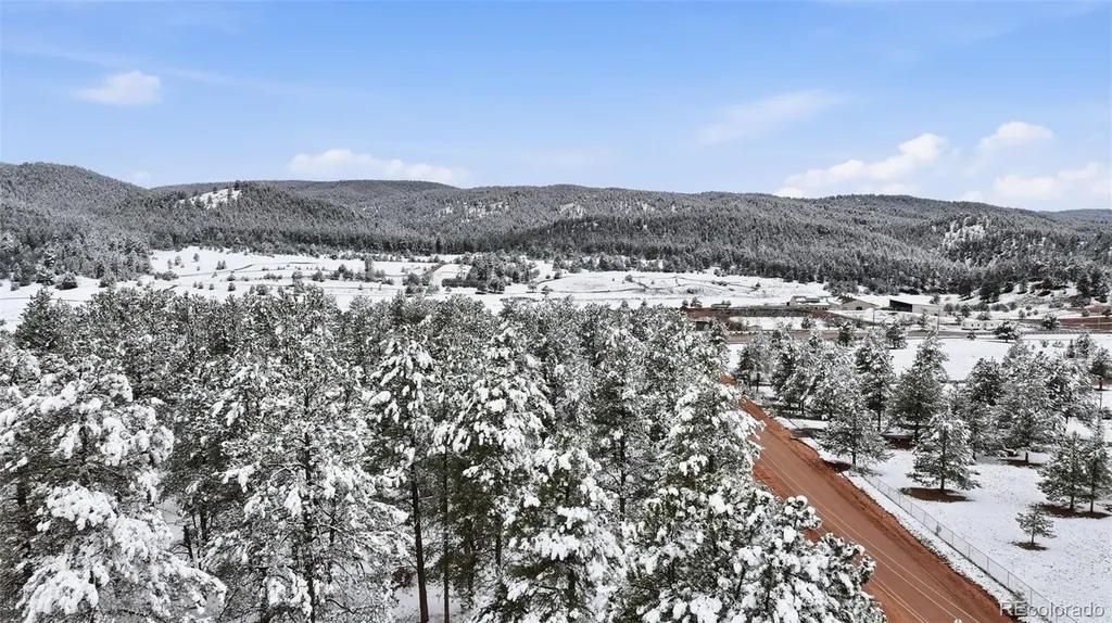 27572 State Highway 67 Woodland Park CO 80863