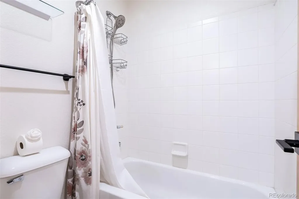 170 Allegra Drive Silverthorne CO 80498