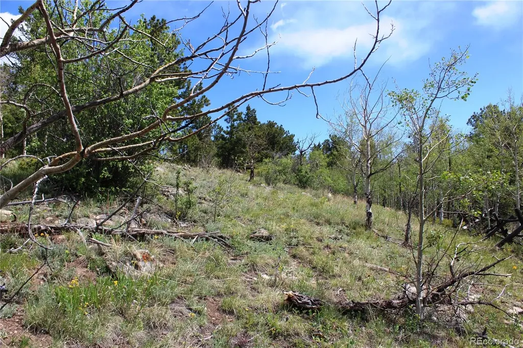 00 Quartz Hill Road Central City CO 80427