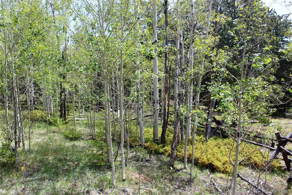 00 Quartz Hill Road Central City CO 80427