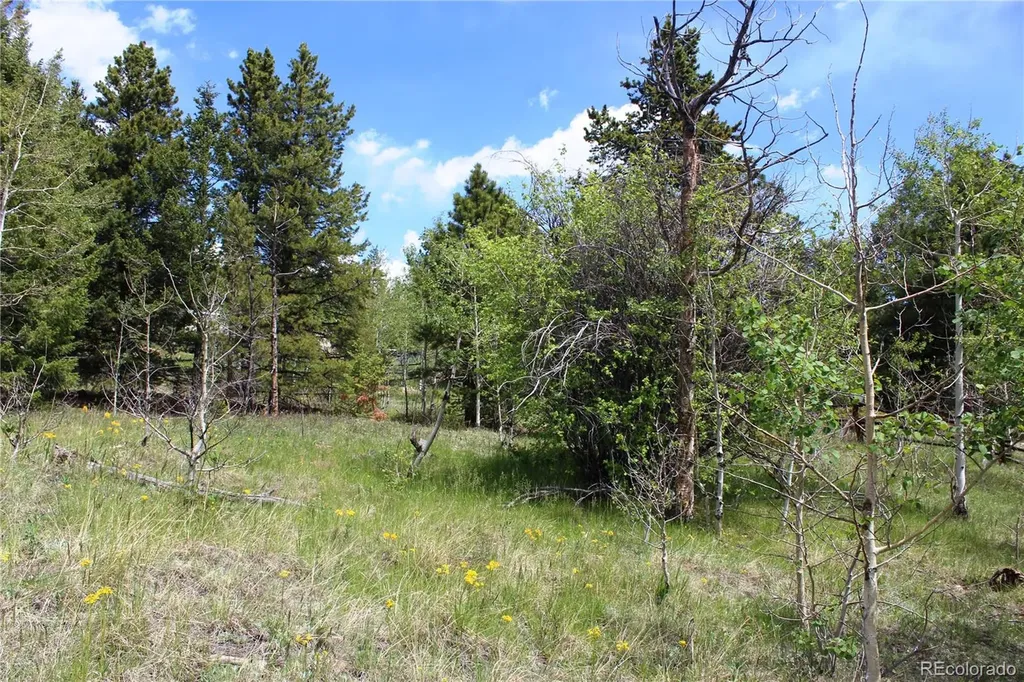00 Quartz Hill Road Central City CO 80427