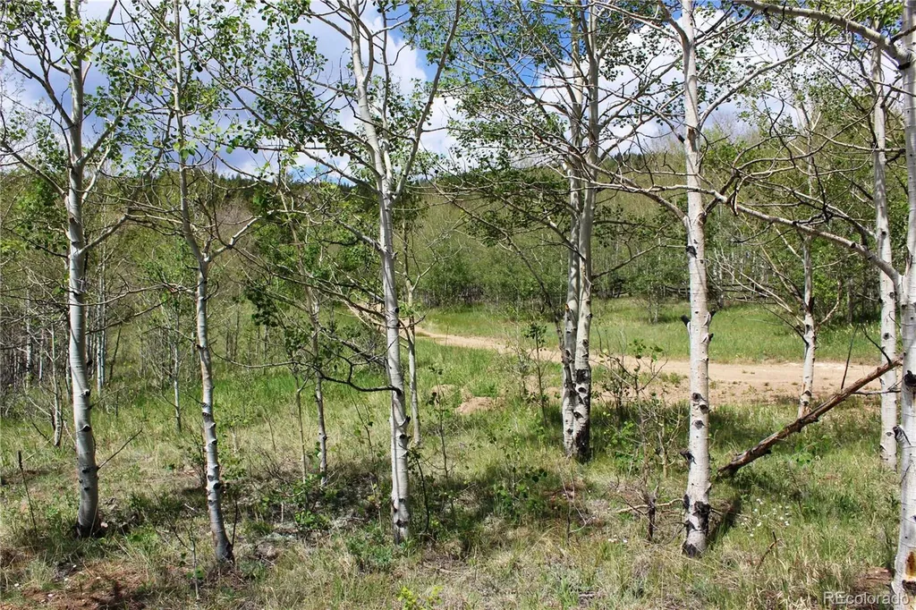 00 Quartz Hill Road Central City CO 80427