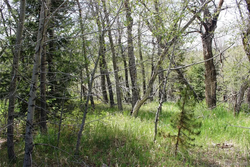 00 Quartz Hill Road Central City CO 80427