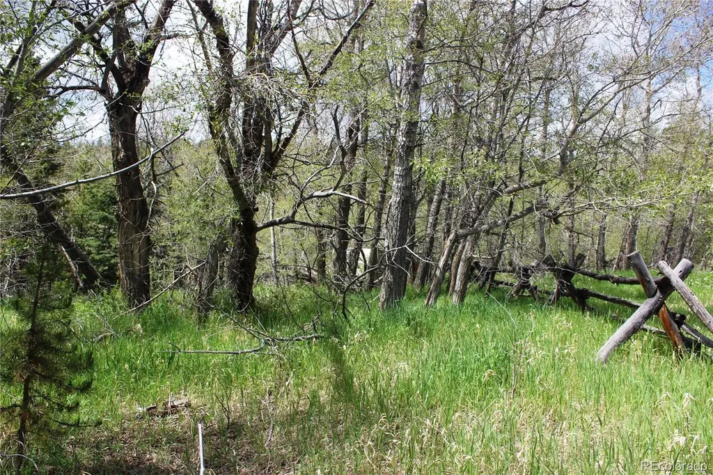 00 Quartz Hill Road Central City CO 80427